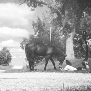 Meet your Posher, Madison sue